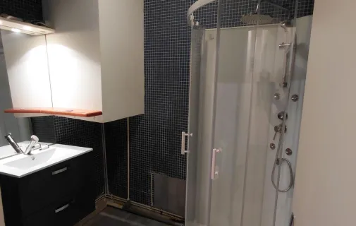Location Saint-Étienne Appartement 68adf0c38da1