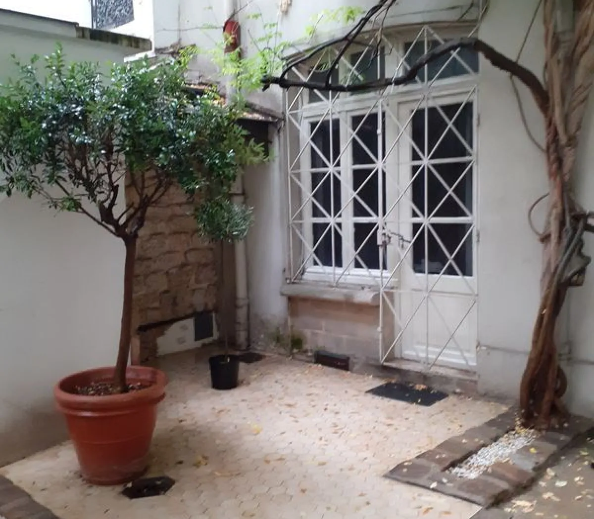 Location Paris Appartement 68b48083b74b