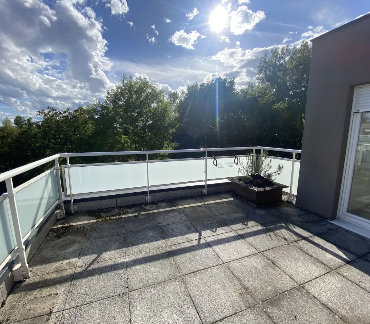 Location Strasbourg Appartement 68b5dbd5611a