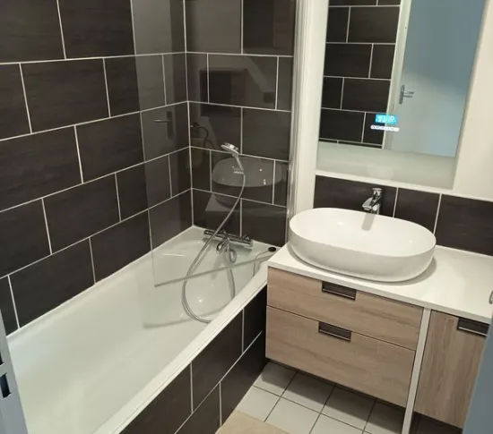 Location Villeurbanne Appartement 68b6a40ba4e53