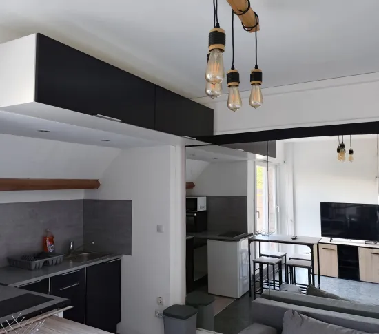 Location Ronchin Appartement 68b831acbf781
