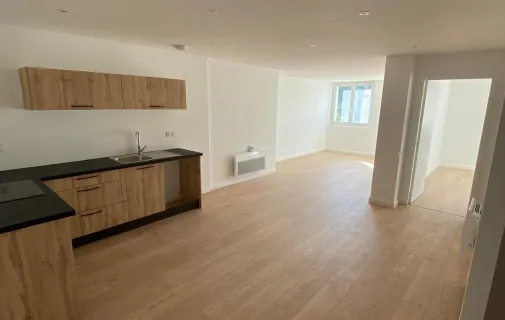 Location Saint-Étienne Appartement 68b950e391af