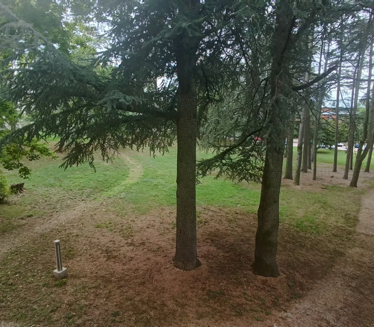 Location Saint-Genis-Laval Appartement 68b968bdcd40