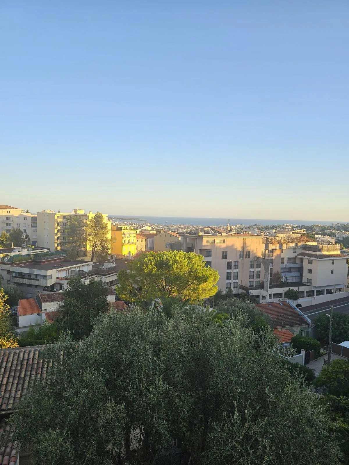 Location Le Cannet Appartement 68b9a04054e41