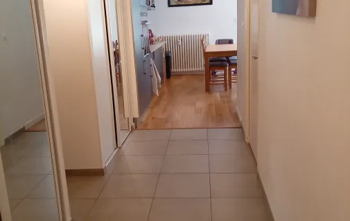Location Lyon Appartement 68ba9ee75679