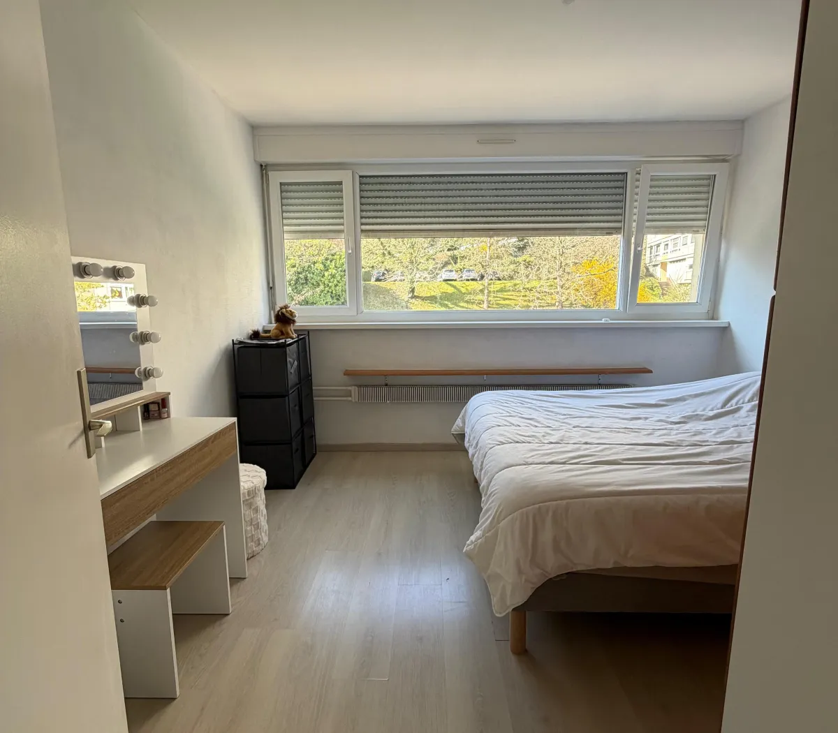 Location Nancy Appartement 68bab4dea11e