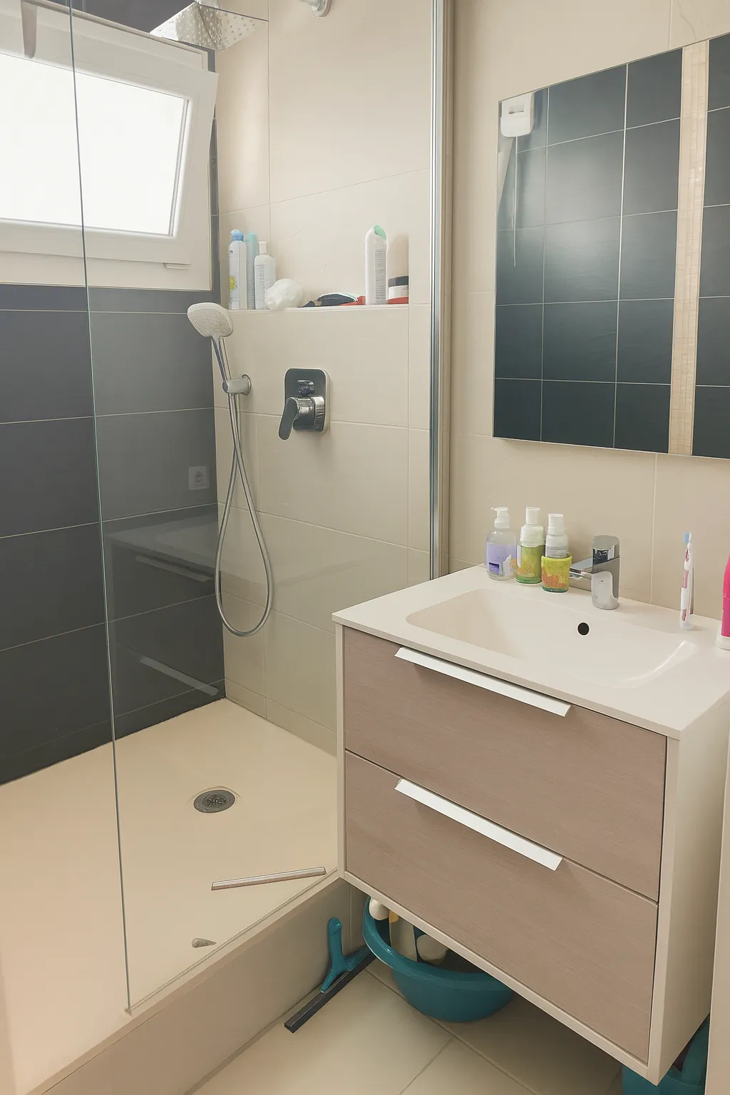 Location Schiltigheim Appartement 68bb0f9615bc5