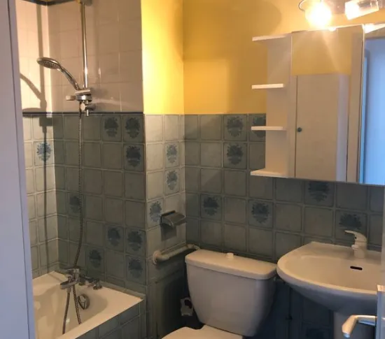 Location Grenoble Appartement 68bfef4f5fa5