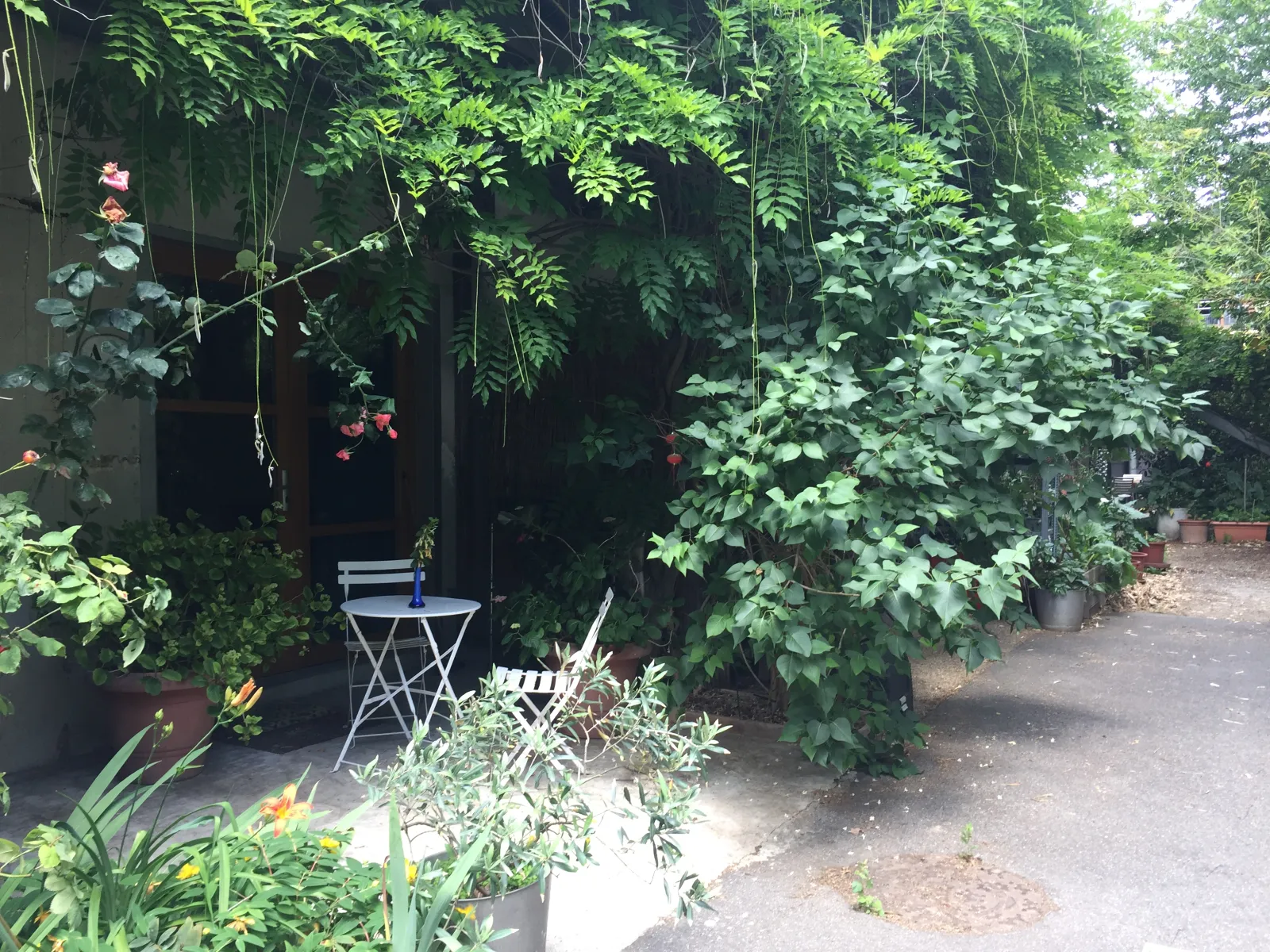 Location Paris Appartement 68c03886183a1