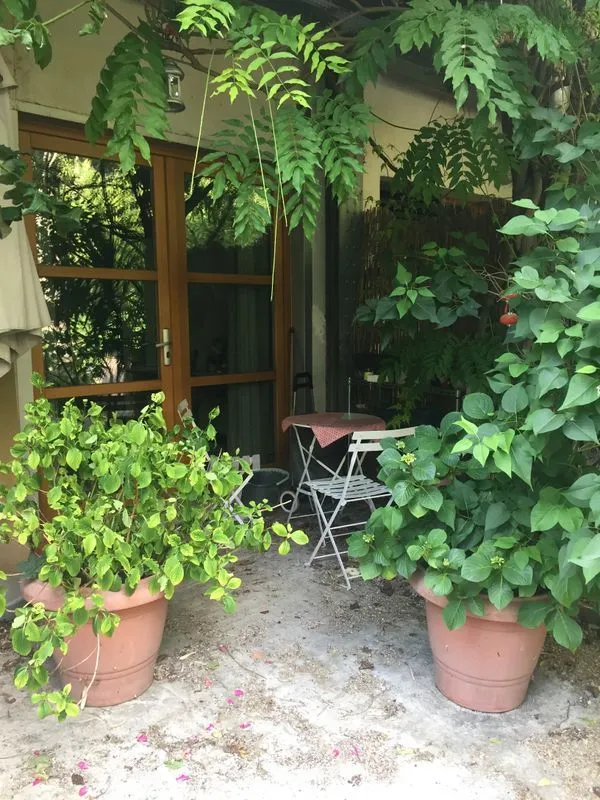 Location Paris Appartement 68c03886183a
