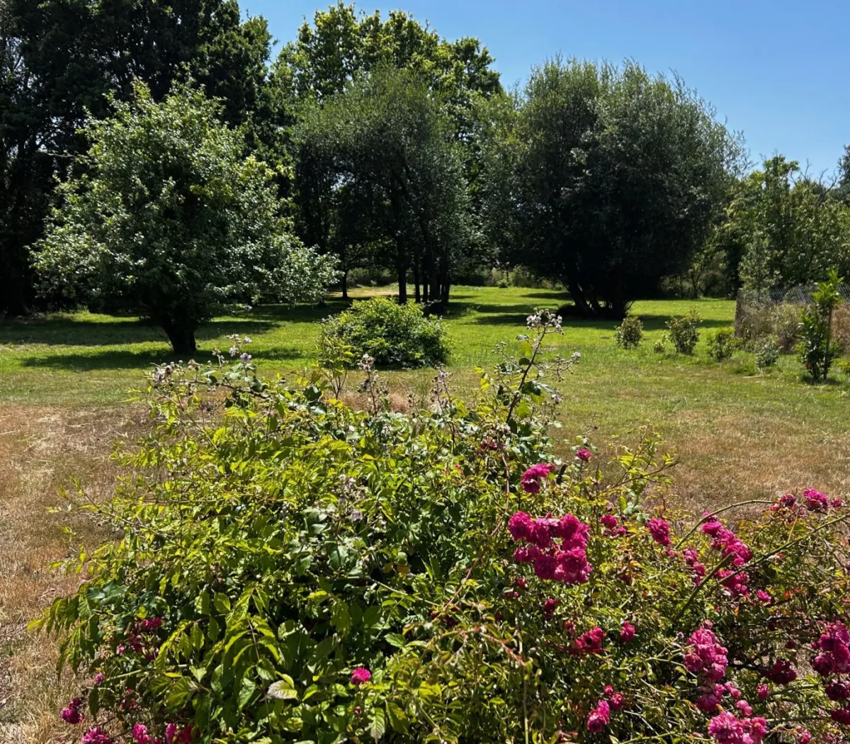 Location Saint-Brevin-les-Pins Maison 68c429289f88