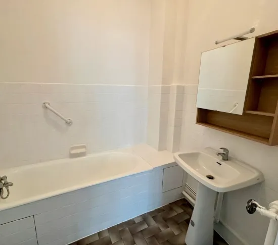 Location Saint-Étienne Appartement 68cbccc148633