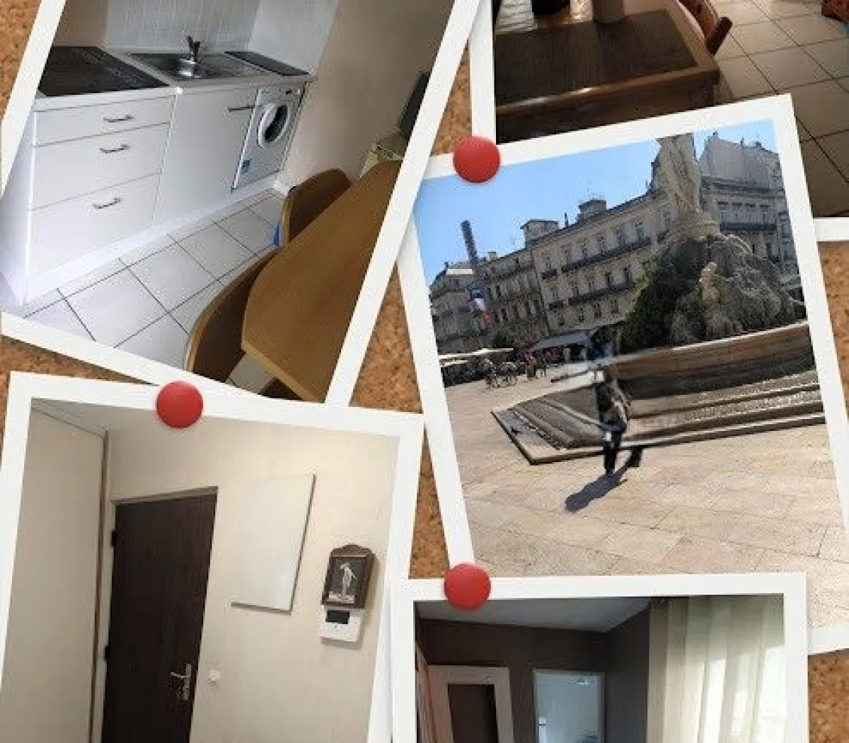 Location Montpellier Appartement 68d627093803