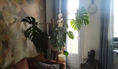 miniatureLocation Toulouse Appartement 68de7f0112212