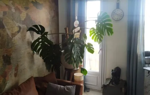 Location Toulouse Appartement 68de7f011221