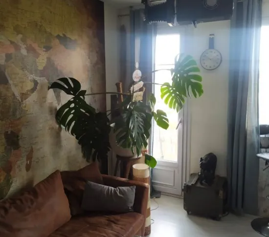 Location Toulouse Appartement 68de7f0112211