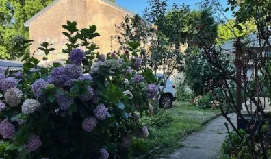 miniatureLocation Nantes Appartement 68dfa77746fd2