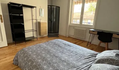 Location Roanne Appartement 68ea933e9eb3