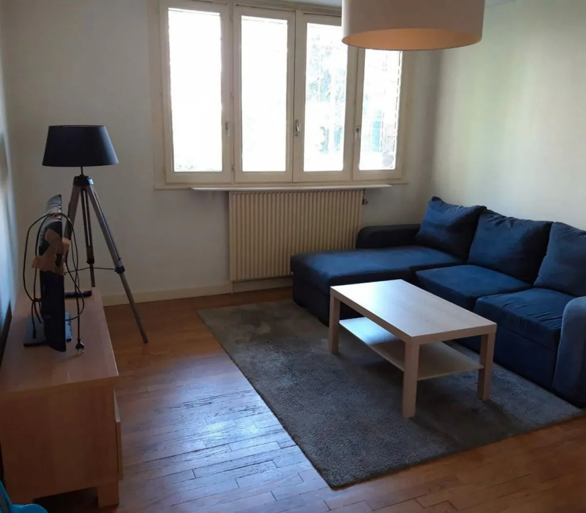 Location Grenoble Appartement 68f1032c1687