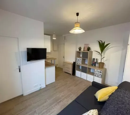 Location Paris Appartement 68f32a4894263