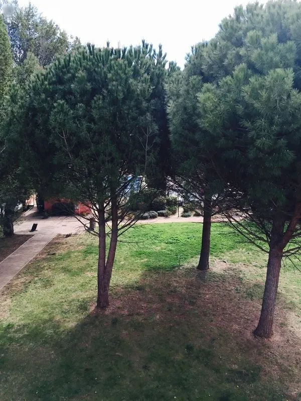 Location Montpellier Appartement 68f9e0e1e25d3