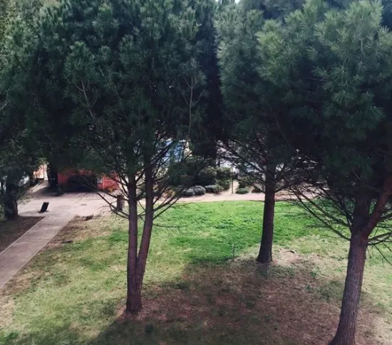 Location Montpellier Appartement 68f9e0e1e25d3