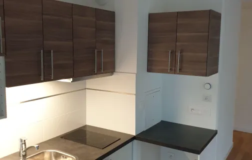 Location Issy-les-Moulineaux Appartement 68fa80384f2c
