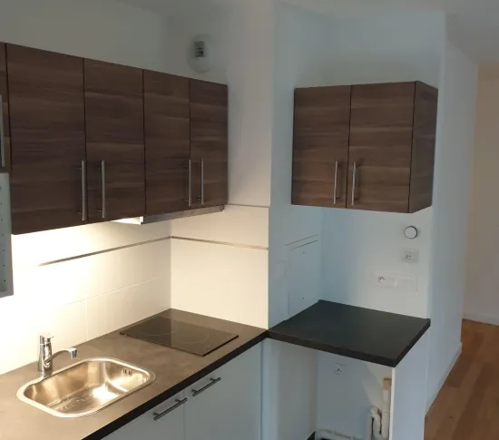 Location Issy-les-Moulineaux Appartement 68fa80384f2c2