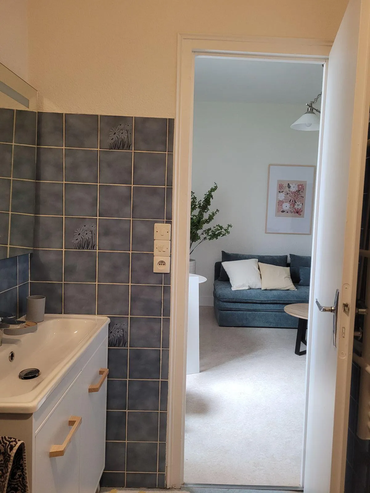 Location Dijon Appartement 68fb2f8ee9964