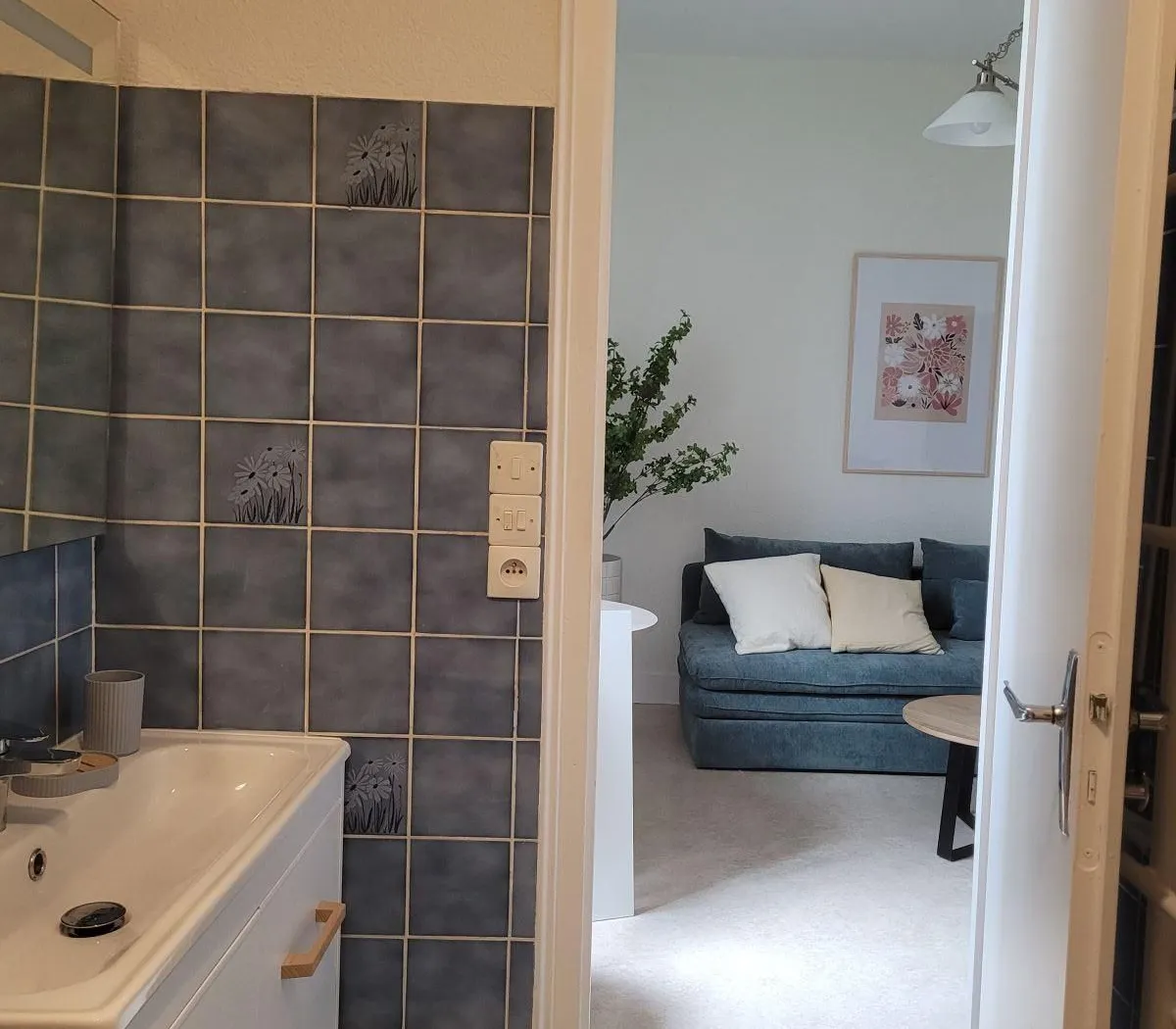 Location Dijon Appartement 68fb2f8ee996