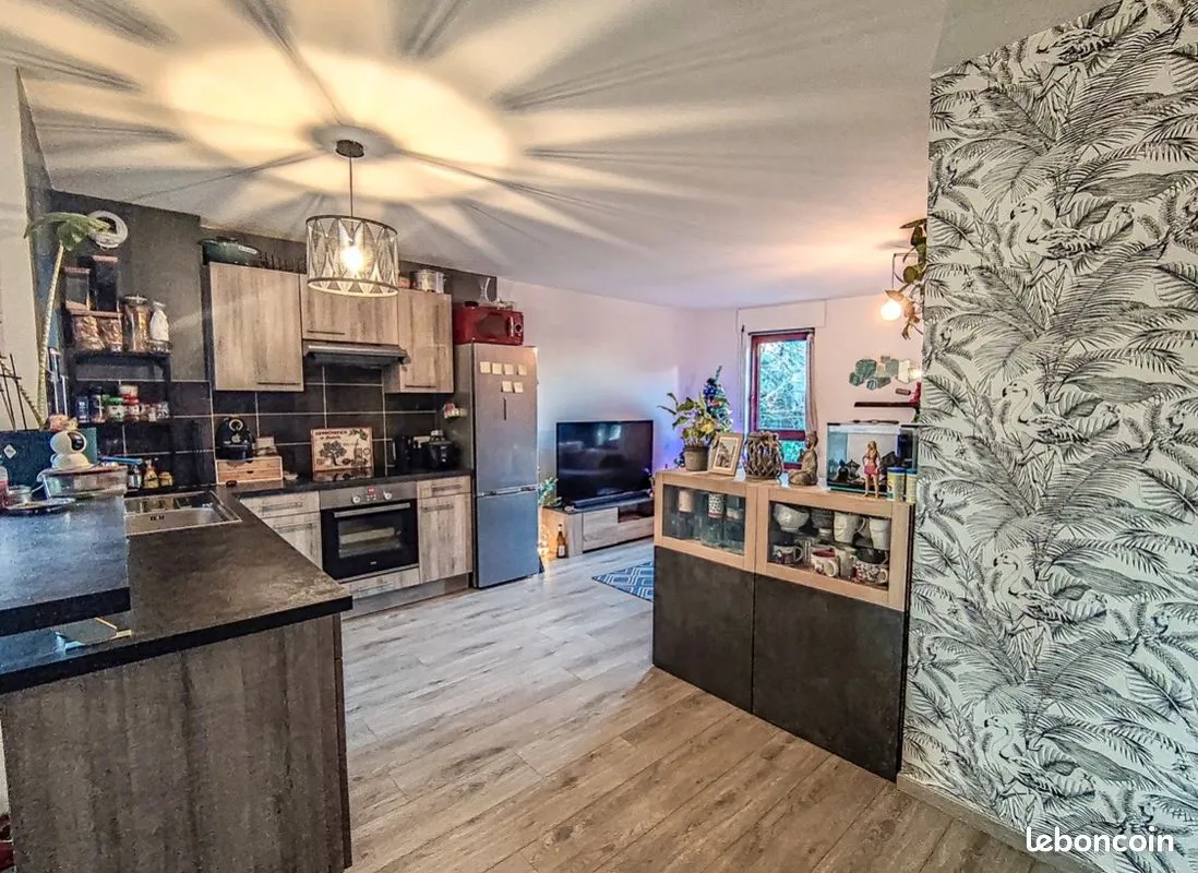 Location Annemasse Appartement 68fe66a4ac1e1