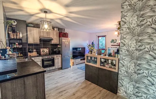 Location Annemasse Appartement 68fe66a4ac1e