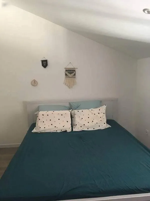 Location Villeurbanne Appartement 69002392e498