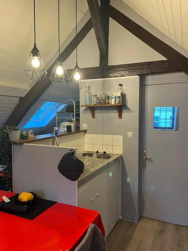 Location Lille Appartement 690179872ce62