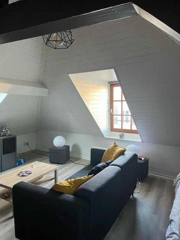 Location Lille Appartement 690179872ce61