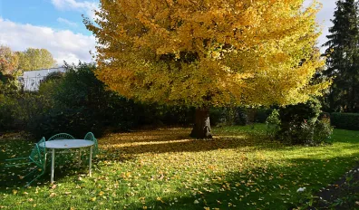 miniatureLocation Strasbourg Appartement 6903881dbefd2