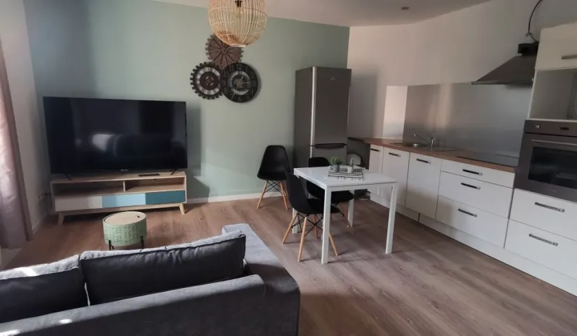 Location Saint-Étienne Appartement 690875cd06ed