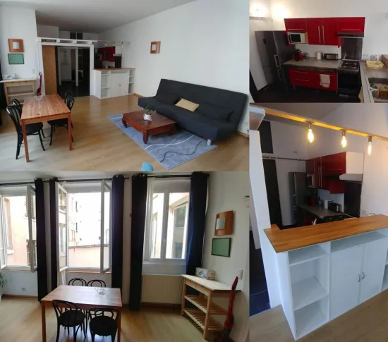 Location Lyon Appartement 690883493ae1