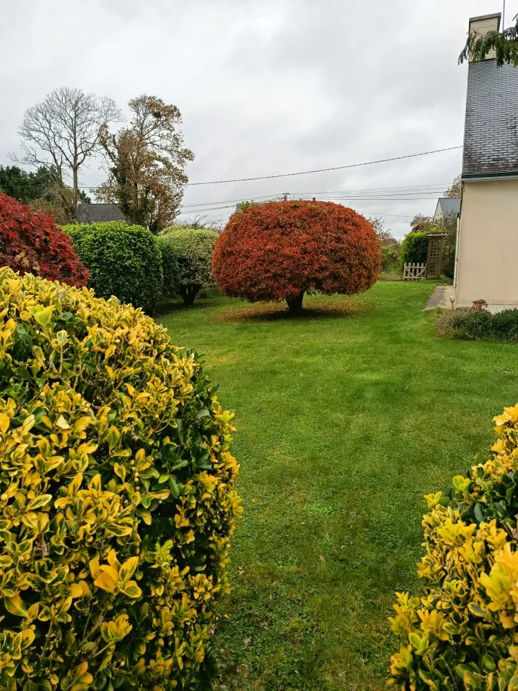 Location Concarneau Maison 6909c3d6da3c