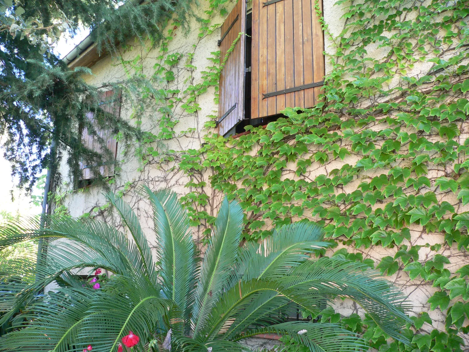 Location Colomiers Maison 690a364658711