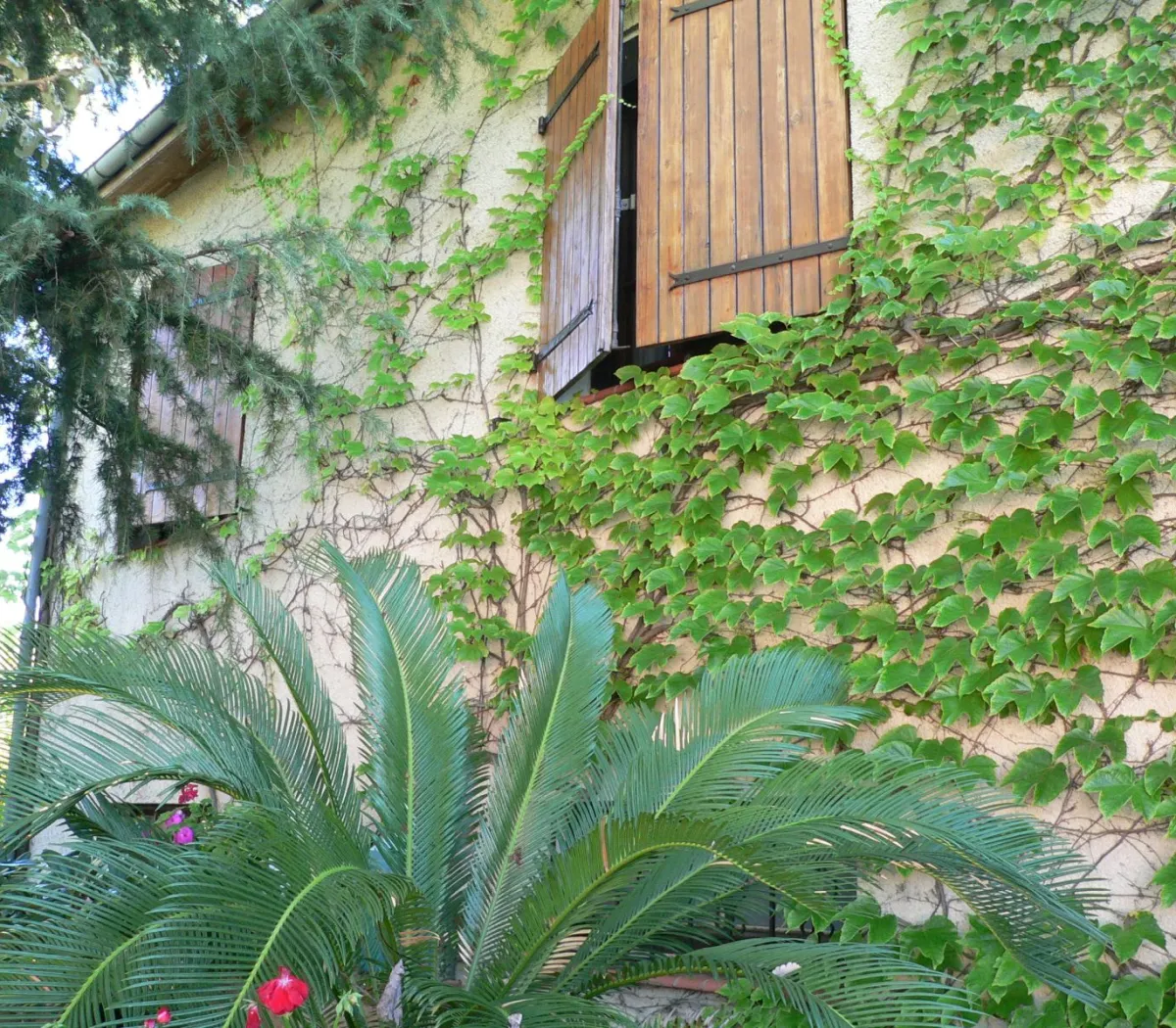 Location Colomiers Maison 690a36465871