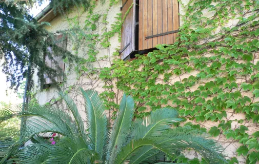 Location Colomiers Maison 690a36465871