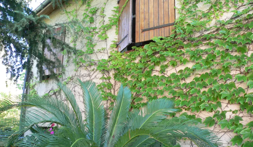 Location Colomiers Maison 690a364658711