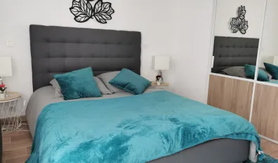 Location Reims Appartement 690cf75011f1