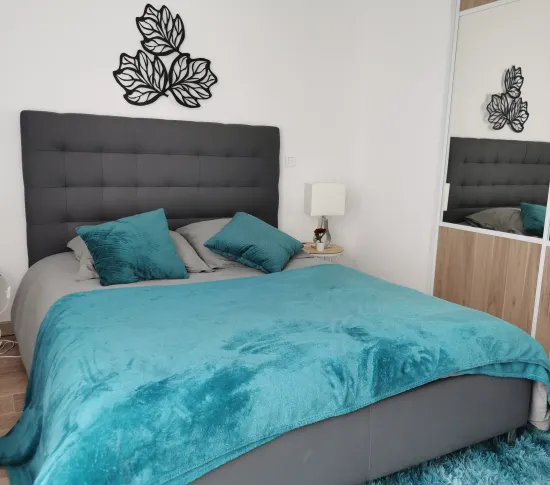 Location Reims Appartement 690cf75011f1