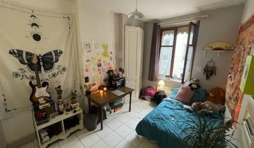 Location Lyon Appartement 690f142aa511