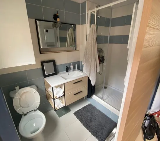 Location Lyon Appartement 690f15b28a0b