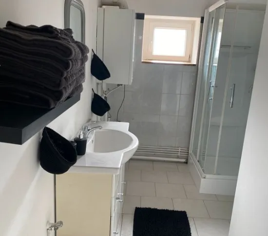 Location Nancy Appartement 6913ef257e36