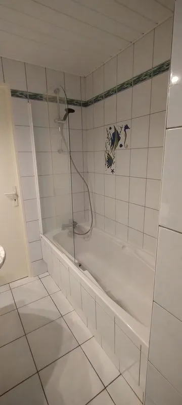 Location Mulhouse Appartement 6914935ac9c3