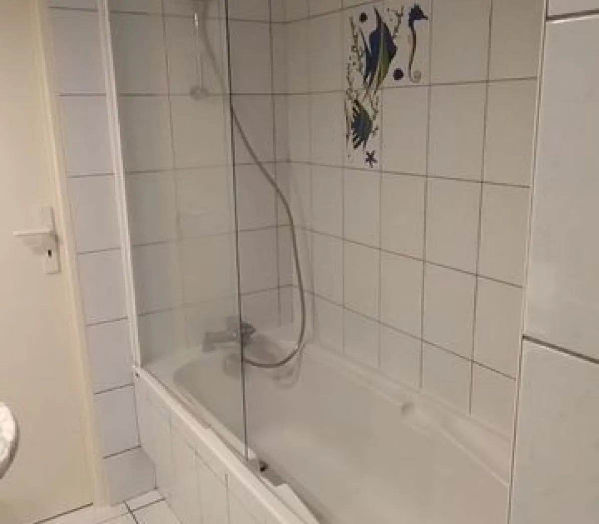 Location Mulhouse Appartement 6914935ac9c3